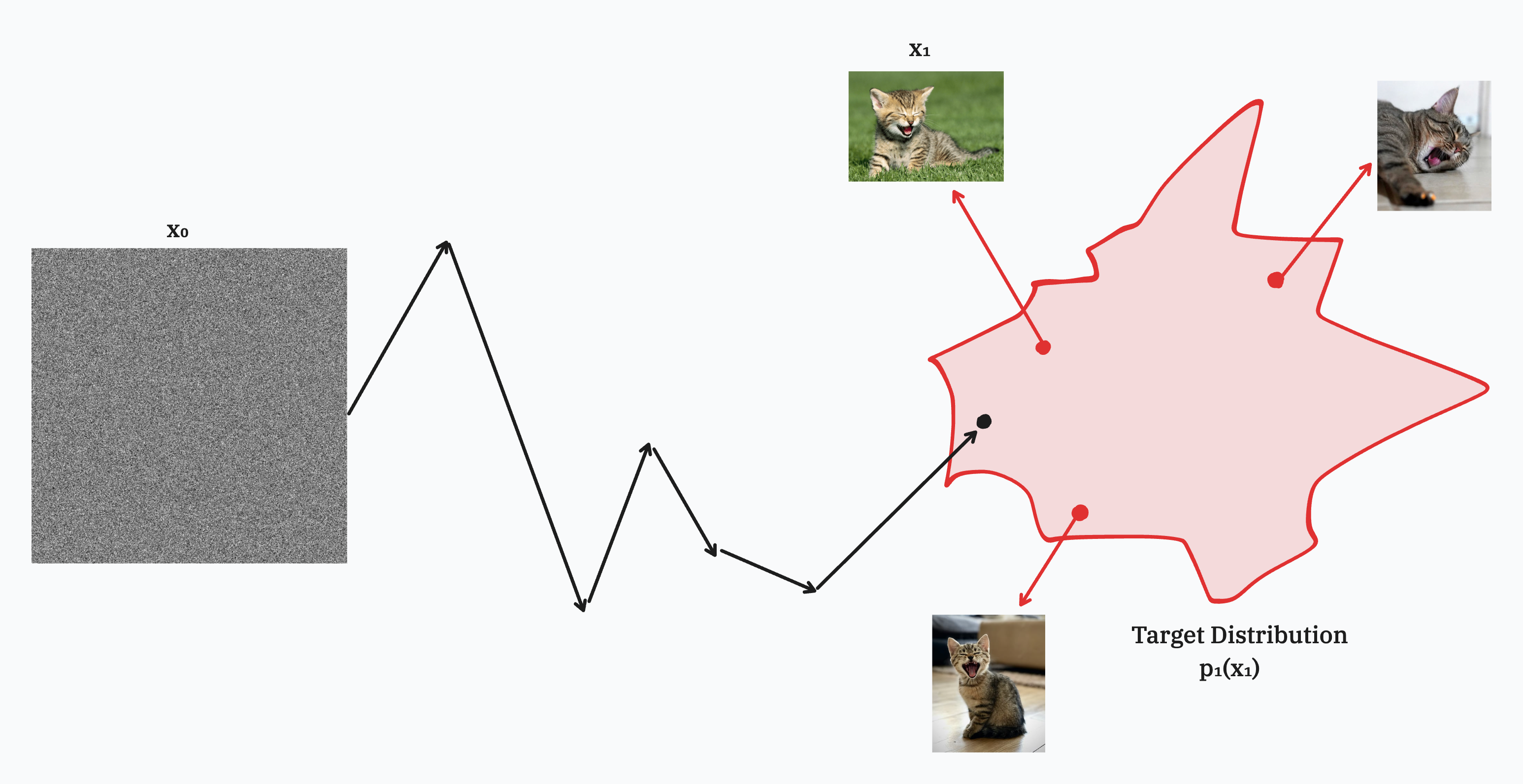 Flow matching moves the noise sample $x_0$ to the target distribution $p_1(x_1)$. Each of the cats are samples from $p_1(x_1)$